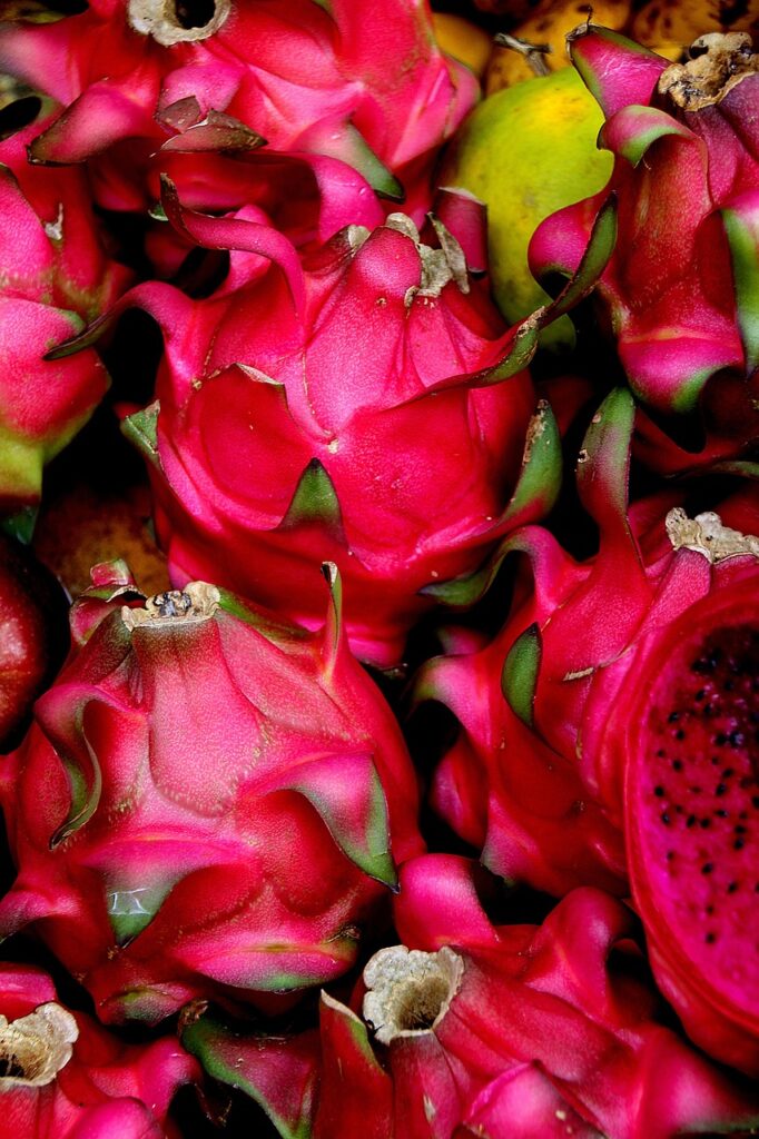 bali, red fruits, exotic fruits, colorful, culinary, dragon fruit, dragon fruit, dragon fruit, dragon fruit, dragon fruit, dragon fruit