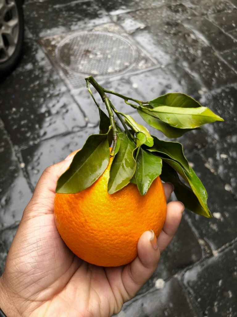 A vibrant orange with leaves freshly picked and held in hand, showcasing natural freshness.