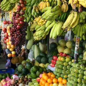 Fruit Storage & Ripening